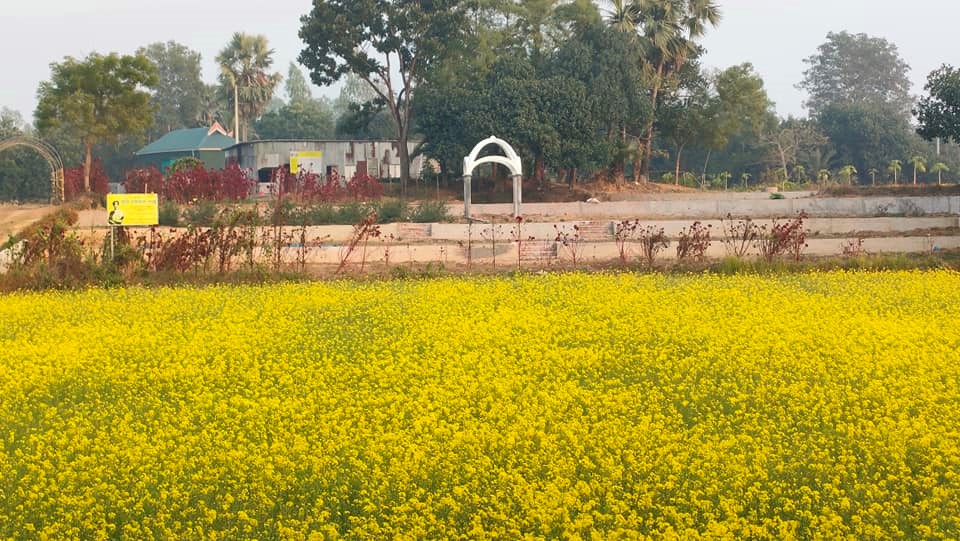 Kazi Nazrul Islam Park